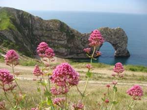 Photo of Caravan on Durdle Door Holiday Park