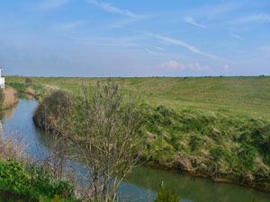 Photo of Caravan on Rye Harbour Holiday Park