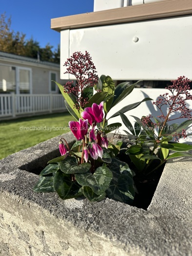 Planting to set the scene! 