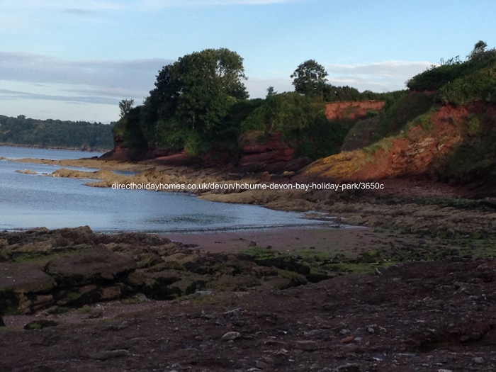 Photo of Caravan on Hoburne Devon Bay Holiday Park