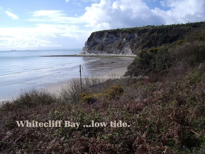 Whitecliff Bay 