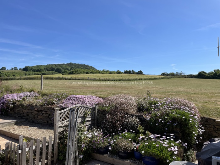 View from Patio