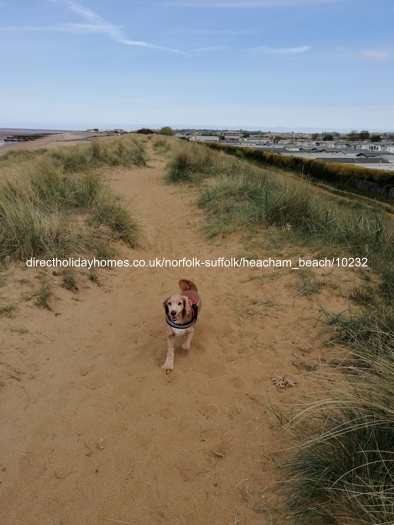 Photo of Caravan on Heacham Beach Holiday Park