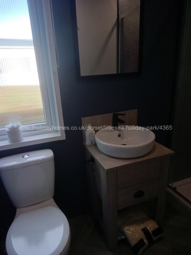 Main toilet, wash basin and shower.