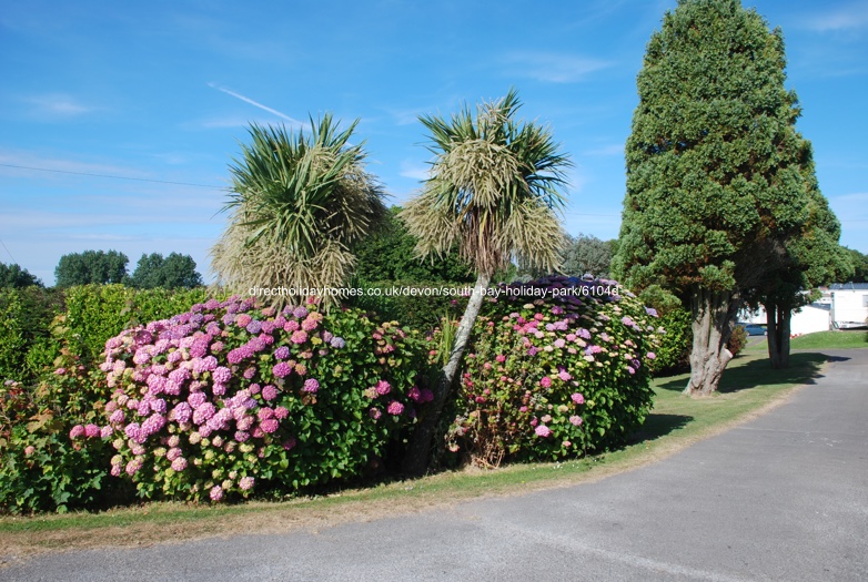 Photo of Caravan on South Bay Holiday Park