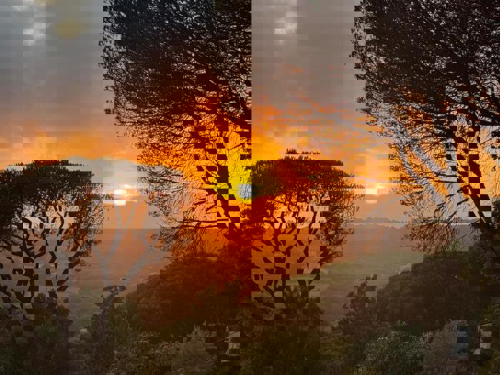 Sunset from the veranda 