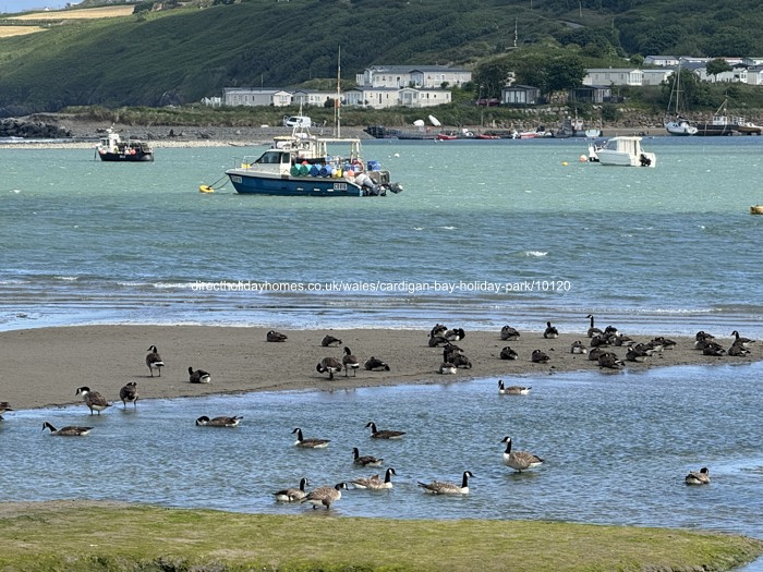 Photo of Caravan on Cardigan Bay Holiday Park