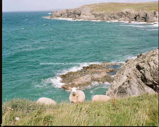 Photo of Caravan on Trevella Holiday Park