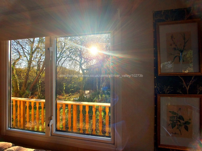 view from the living room