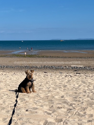 Penally Beach