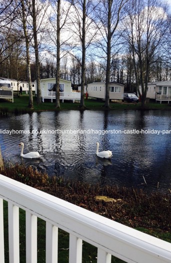 Photo of Caravan on Haggerston Castle Holiday Park