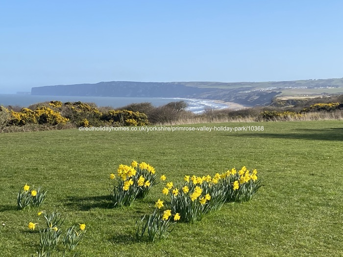 Photo of Caravan on Primrose Valley Holiday Park