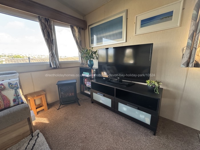 TV corner and electric fire