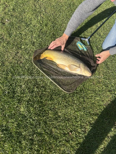 2 fishing lakes on site