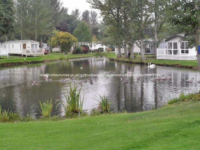 Photo of Caravan on Haggerston Castle Holiday Park