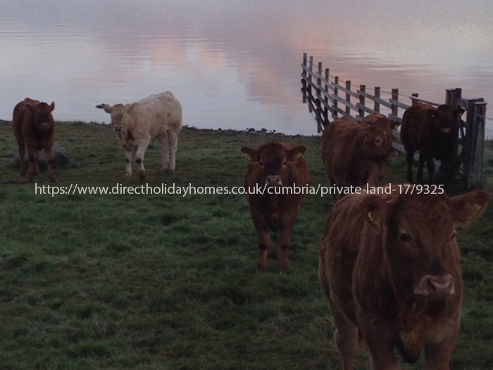 Photo of Caravan on Private land