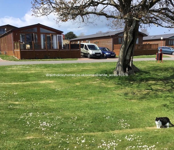 Photo of Lodge on White Acres Holiday Park