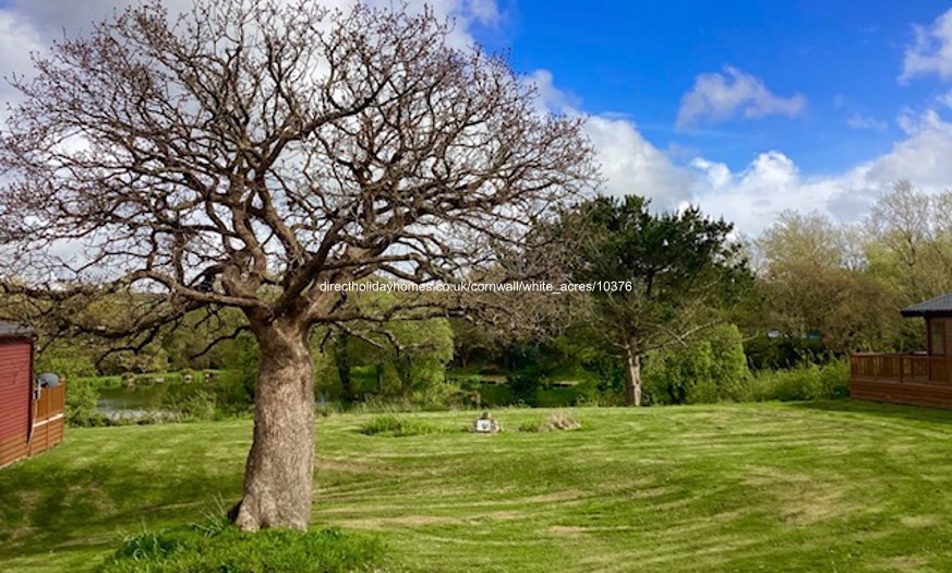 Photo of Lodge on White Acres Holiday Park