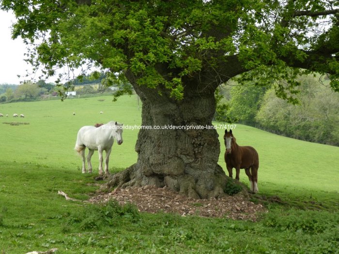 Photo of Cottage on Private Land