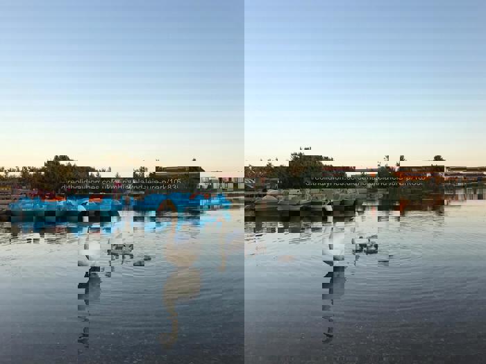 Evening view from the decking 