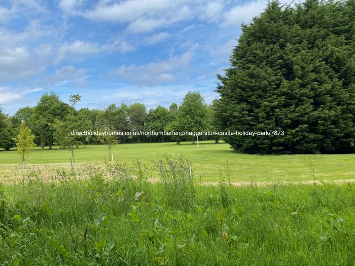 Photo of Caravan on Haggerston Castle Holiday Park