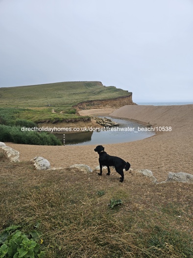 Photo of Caravan on Freshwater Beach Holiday Park