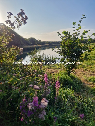 Photo of Lodge on White Acres Holiday Park