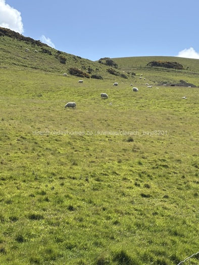 Photo of 8201