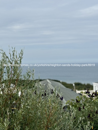 Photo of Caravan on Reighton Sands Holiday Park