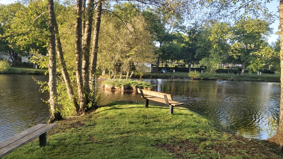Peaceful seating around lake