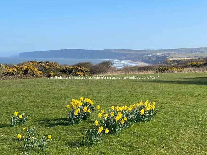 Photo of Caravan on Primrose Valley Holiday Park