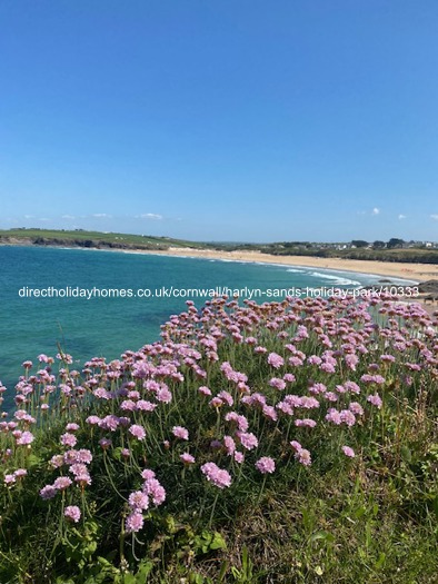 Photo of Caravan on Harlyn Sands Holiday Park