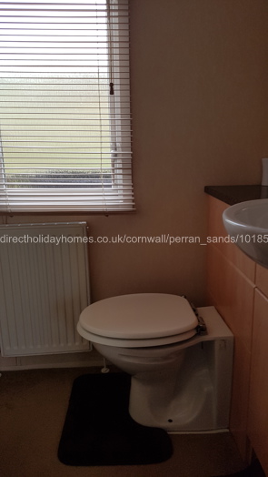 Main Bathroom Toilet & Sink