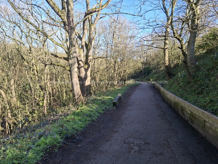 Beach access path (north)