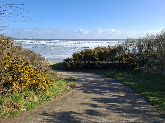 Beach access path (south)