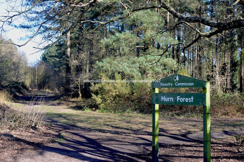 Photo of Lodge on Oakdene Forest Park