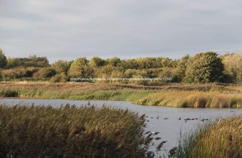 Photo of Caravan on Marton Mere Holiday Park 