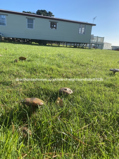 Photo of Caravan on Sandhills Holiday Park