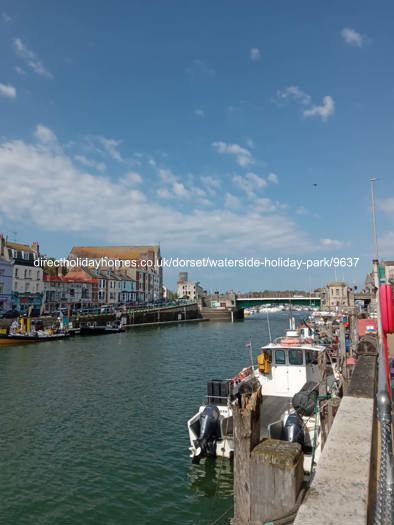 Photo of Caravan on Bowleaze Cove Holiday Park & Spa