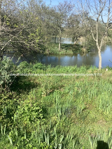 Photo of Lodge on Trevella Holiday Park