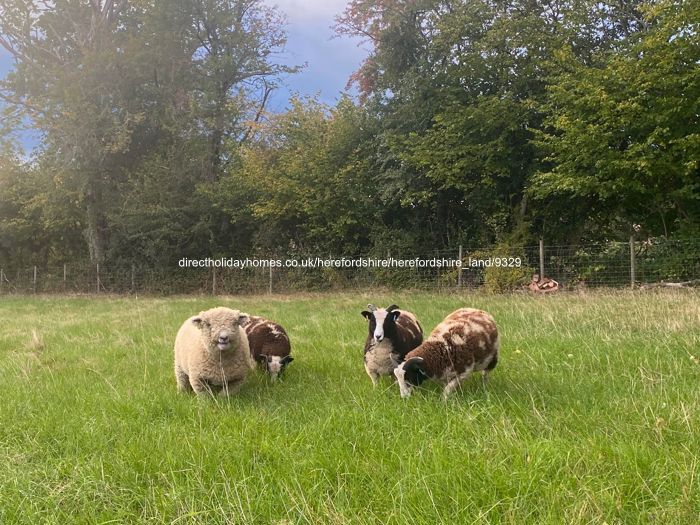 Photo of Caravan on Private Land