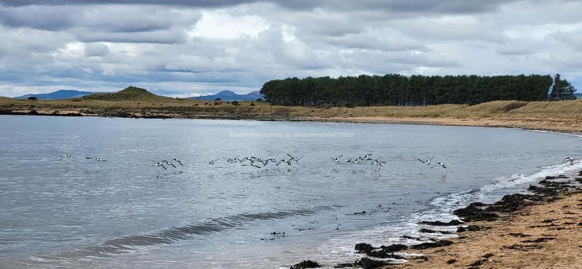 Shell Bay