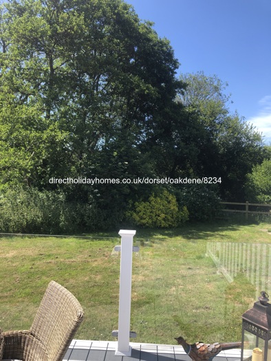 Photo of Caravan on Oakdene Forest Park