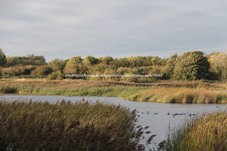 Photo of Caravan on Marton Mere Holiday Park 