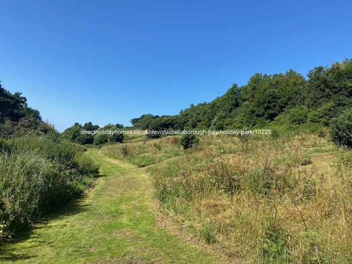 Photo of Caravan on Challaborough Bay Holiday Park