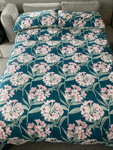 Pull out double bed in lounge